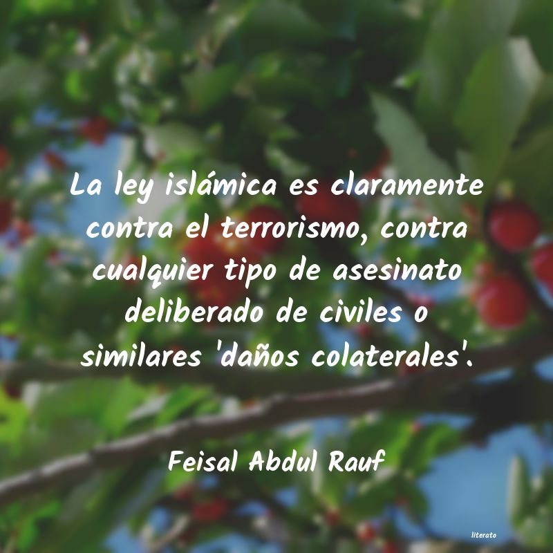 Frases de Feisal Abdul Rauf