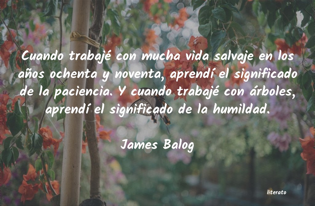 Frases de James Balog