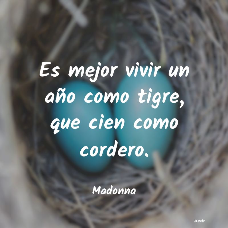 Frases de Madonna