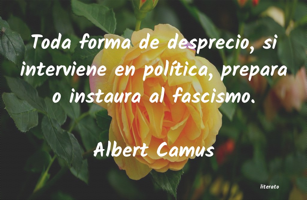 Frases de Albert Camus