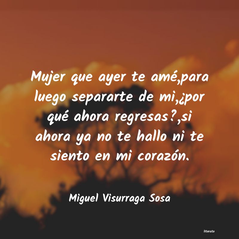 frases de Miguel Visurraga Sosa