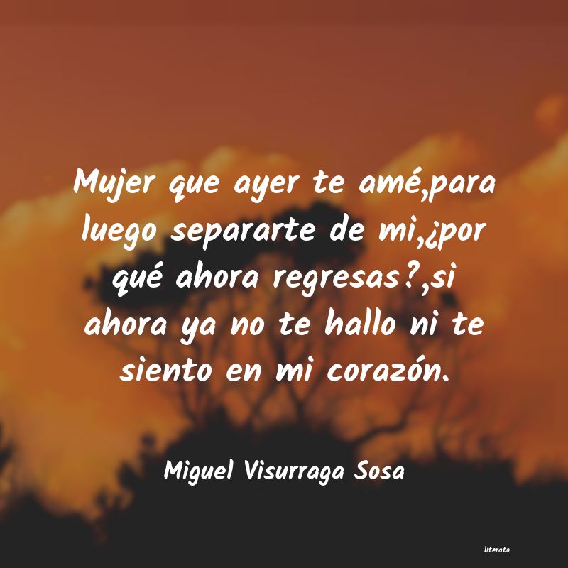 Frases de Miguel Visurraga Sosa