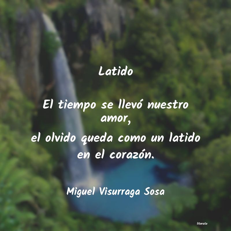 frases de Miguel Visurraga Sosa