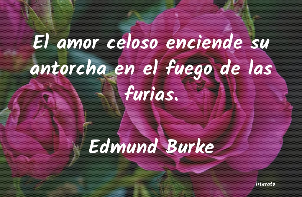 Frases de Edmund Burke