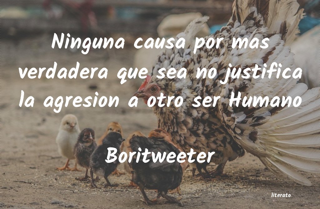 frases de Boritweeter