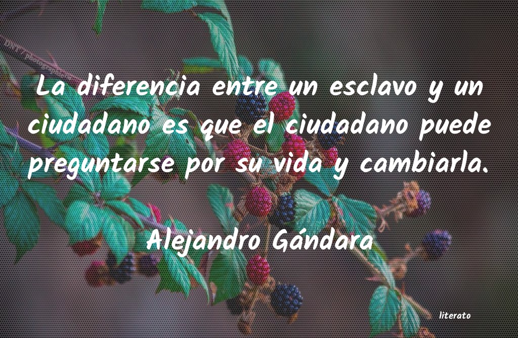 Frases de Alejandro Gándara