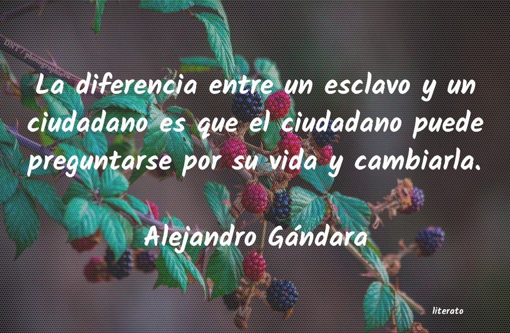frases de Alejandro Gándara