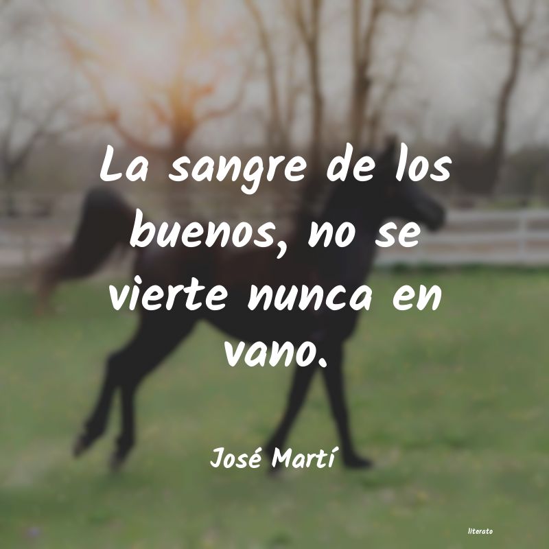 Frases de José Martí