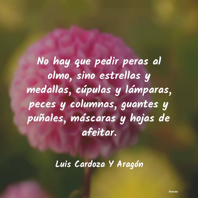 frases de Luis Cardoza Y Aragón