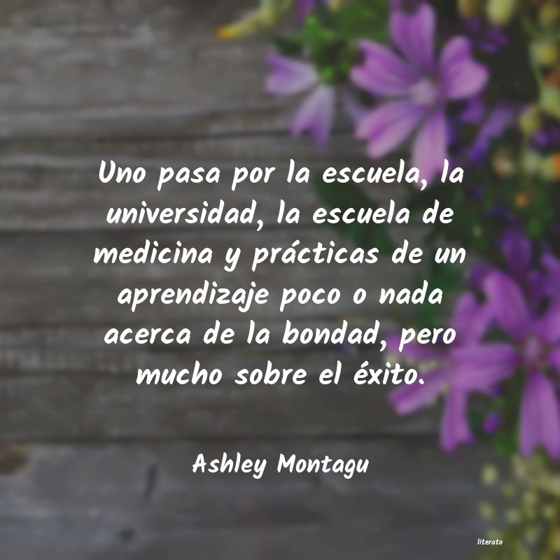 frases de Ashley Montagu