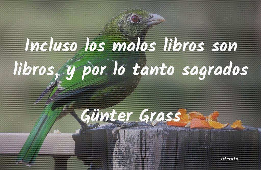 frases de Günter Grass