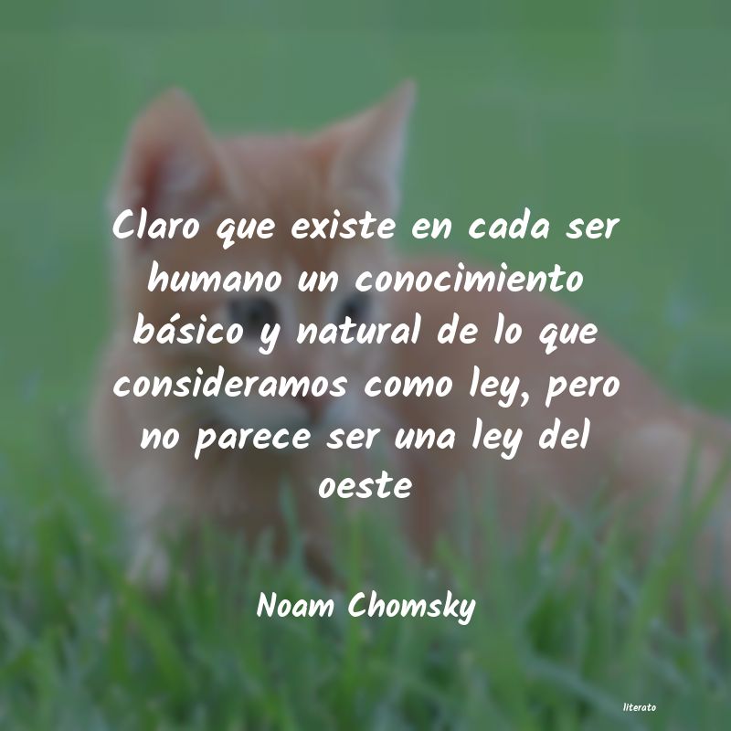 Frases de Noam Chomsky