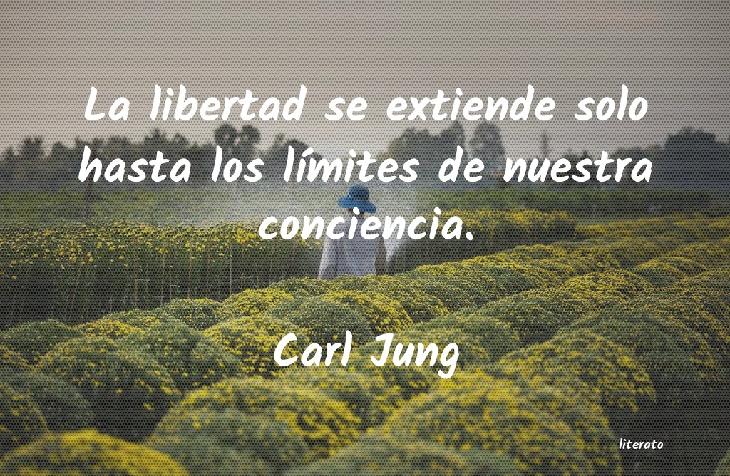 frases de Carl Jung