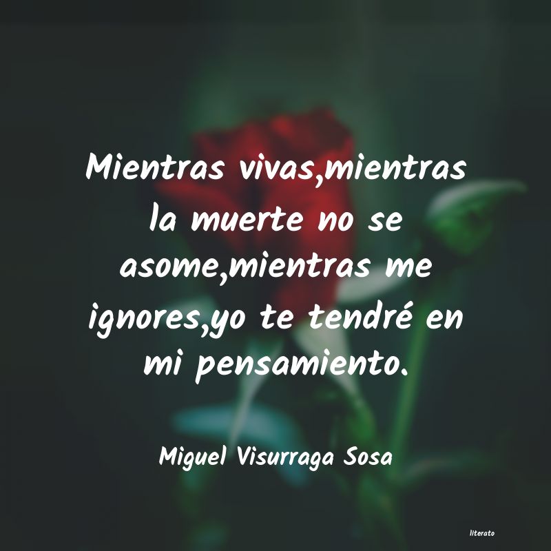 frases de Miguel Visurraga Sosa