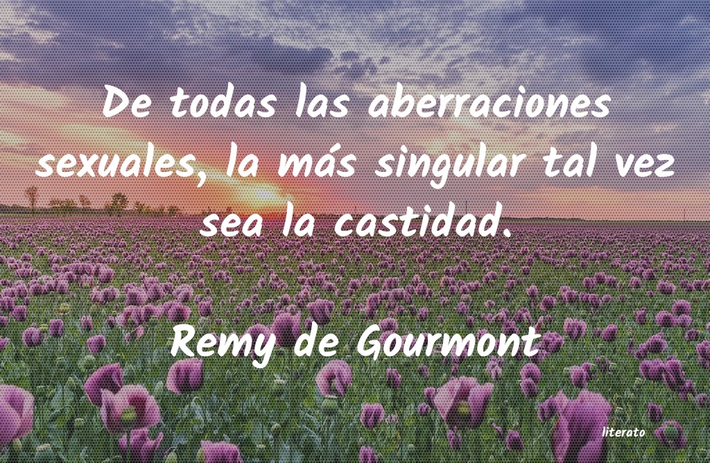 frases de Remy de Gourmont