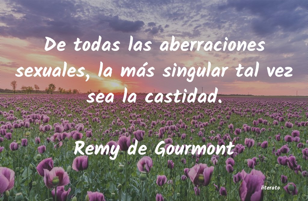 Frases de Remy de Gourmont