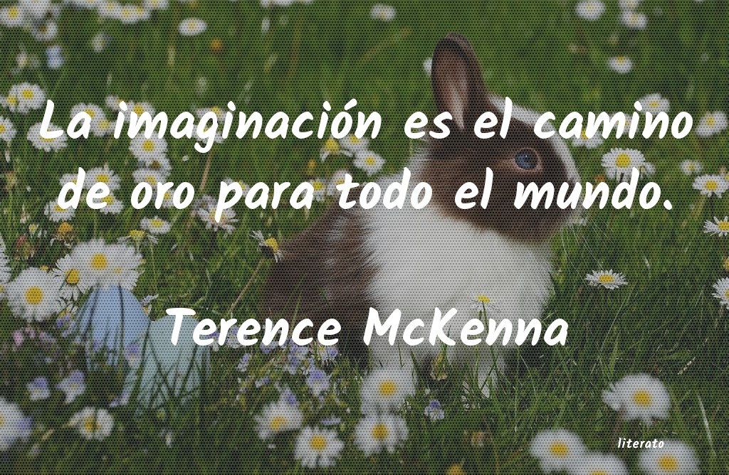 frases de Terence McKenna