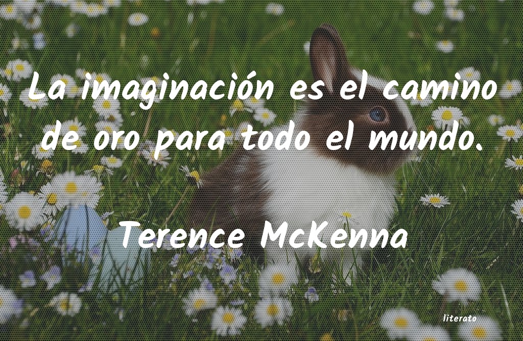 Frases de Terence McKenna