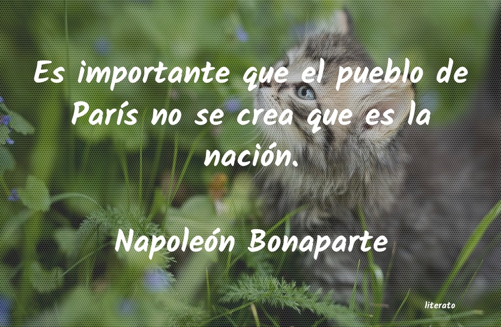 Frases de Napoleón Bonaparte