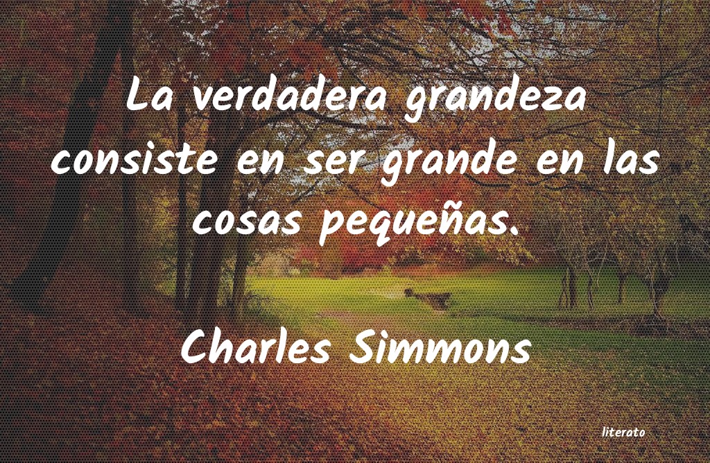 frases de Charles Simmons