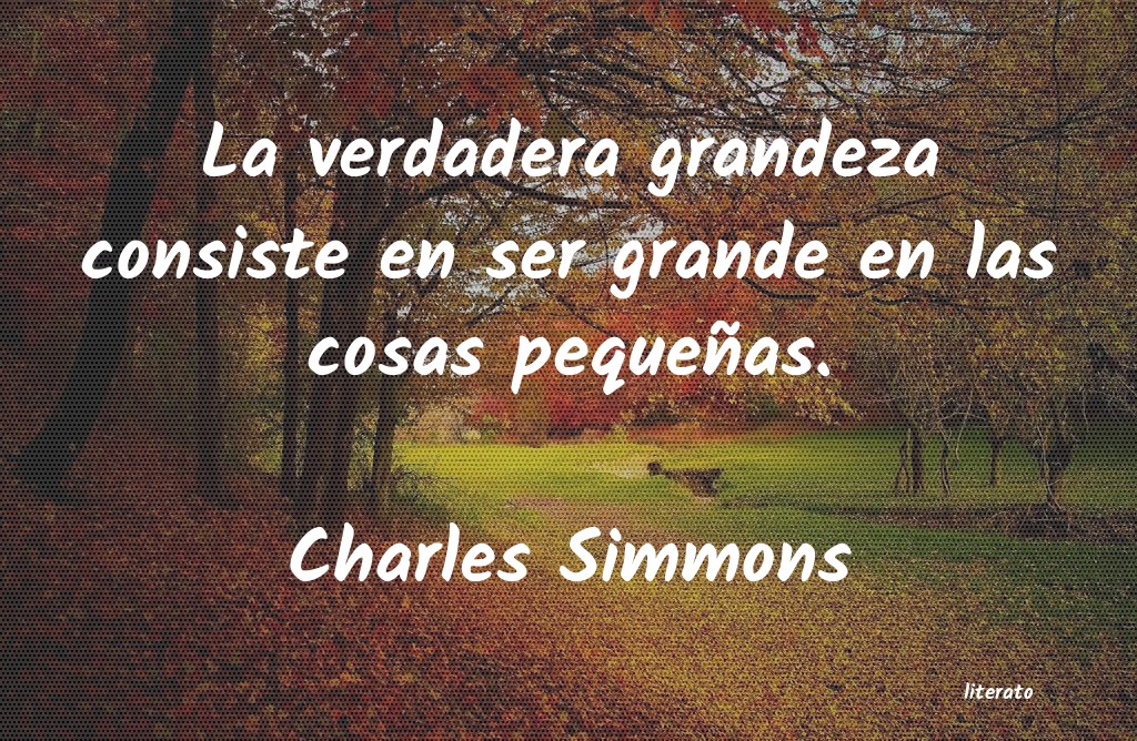 Frases de Charles Simmons