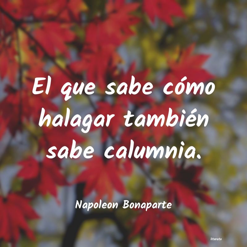 frases de Napoleon Bonaparte