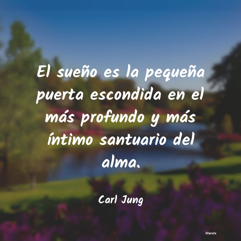 carl jung sentido