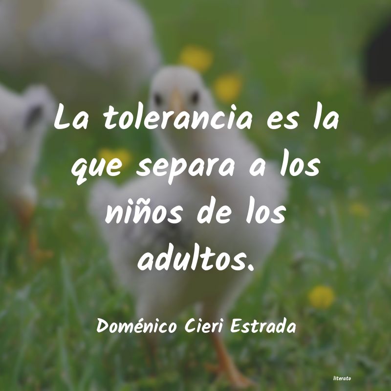 frases de Doménico Cieri Estrada