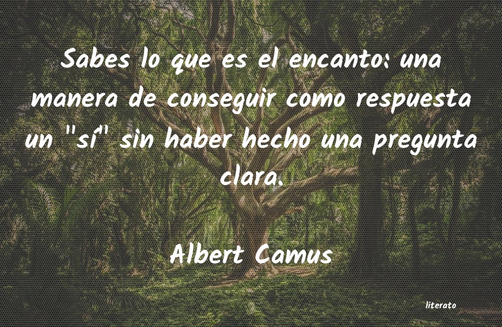 Frases de Albert Camus