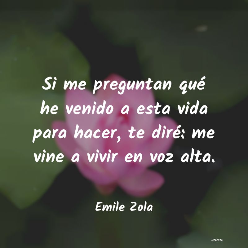 frases de Emile Zola