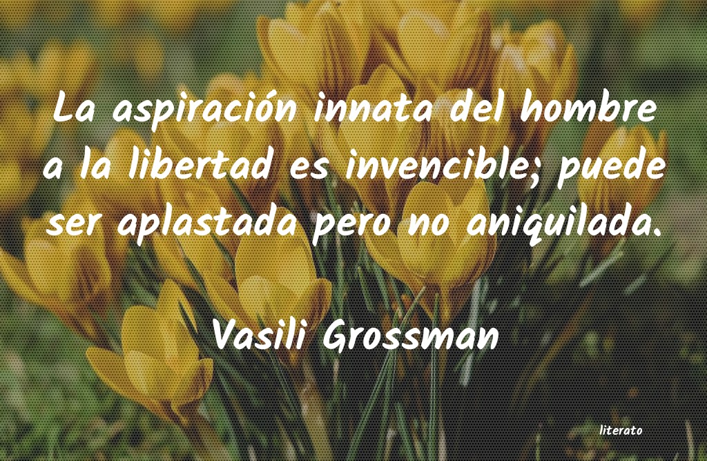 Frases de Vasili Grossman