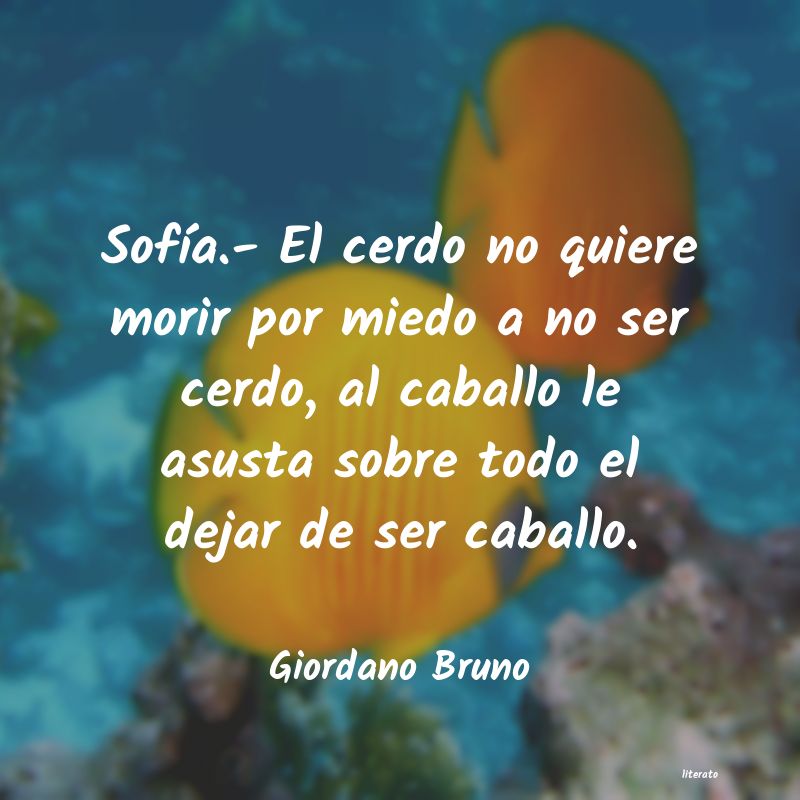 frases de Giordano Bruno