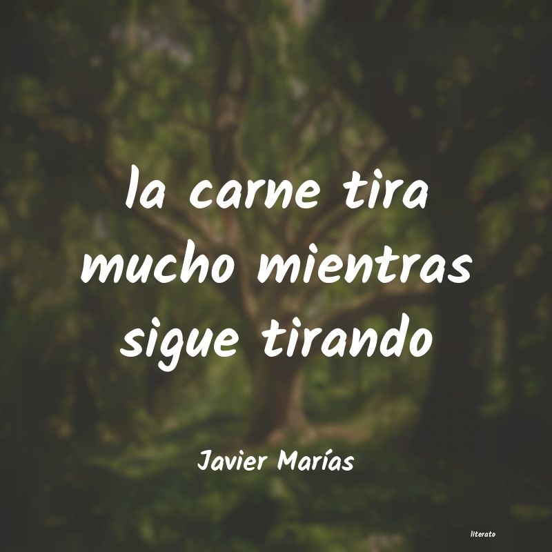 frases de Javier MarÃÂas