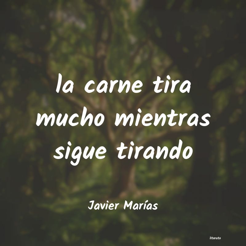 Frases de Javier Marías