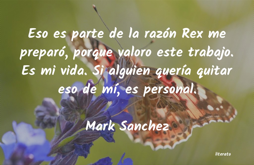 Frases de Mark Sanchez