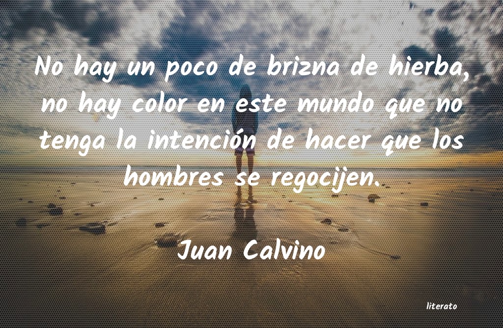 Frases de Juan Calvino