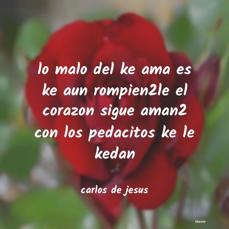 frases de carlos de jesus
