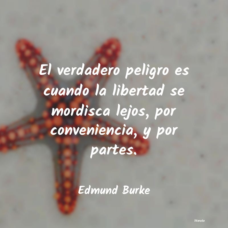 Frases de Edmund Burke