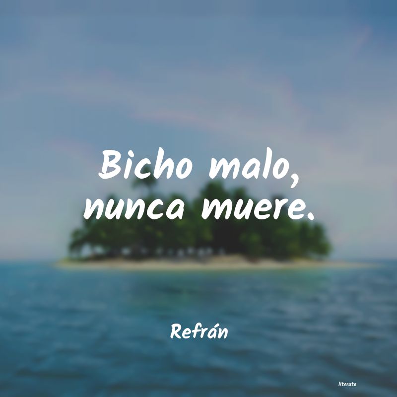 frases de Refrán