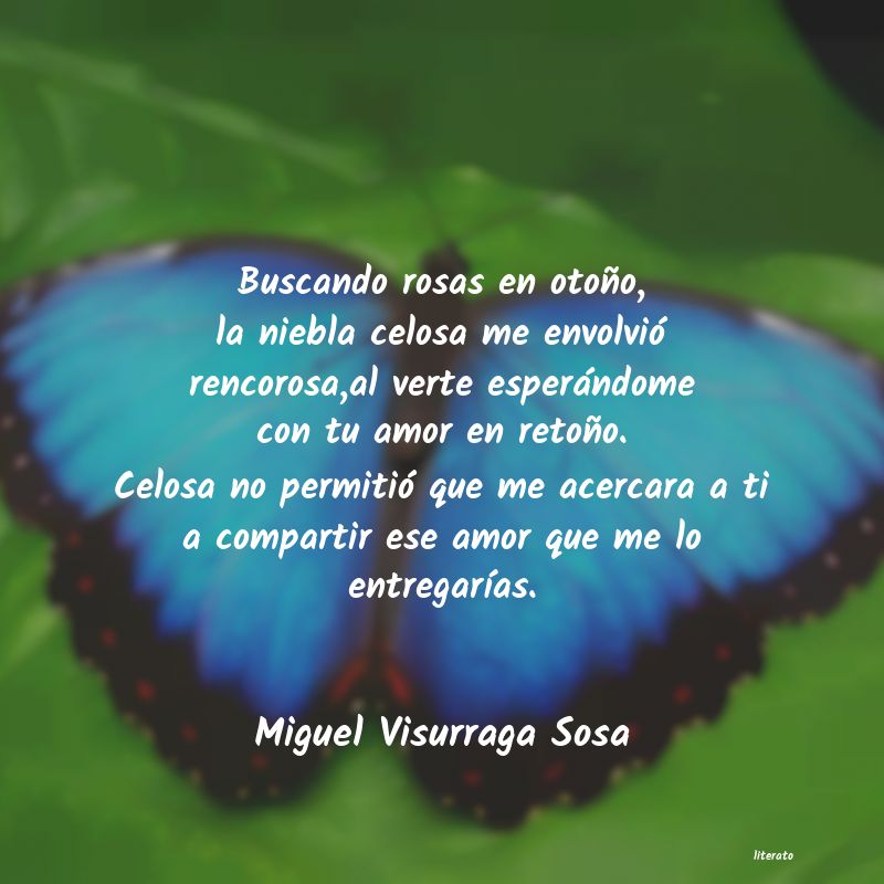 Frases de Miguel Visurraga Sosa