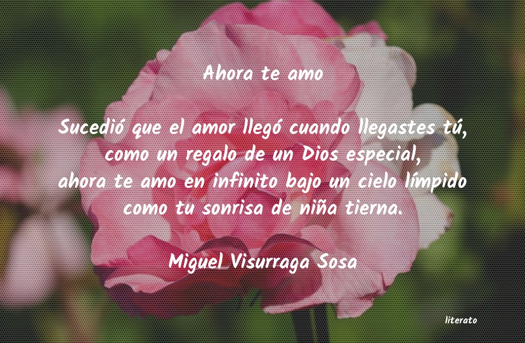 Frases de Miguel Visurraga Sosa