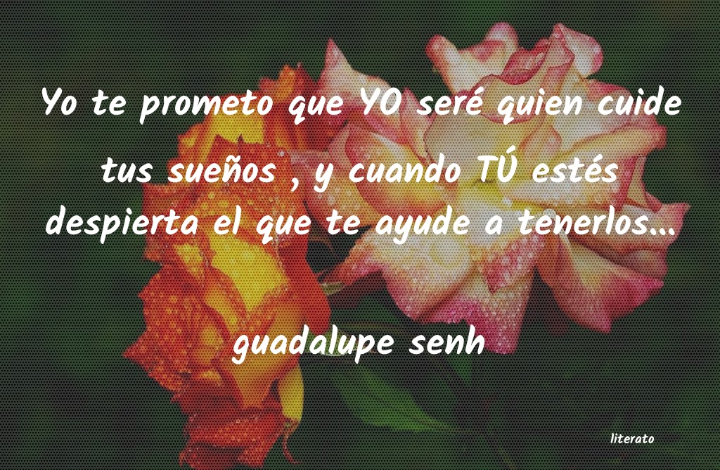 Frases de guadalupe senh