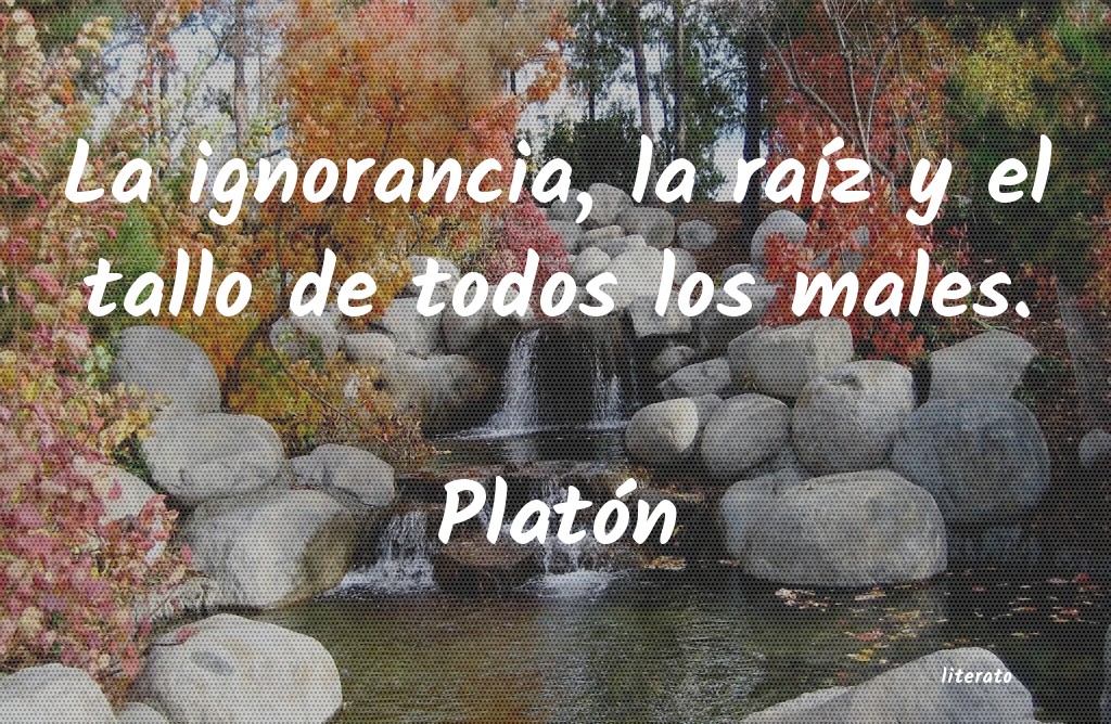 Frases de Platón