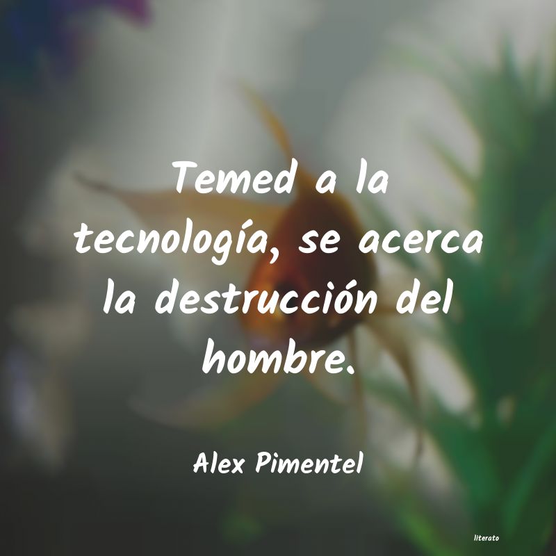 Frases de Alex Pimentel