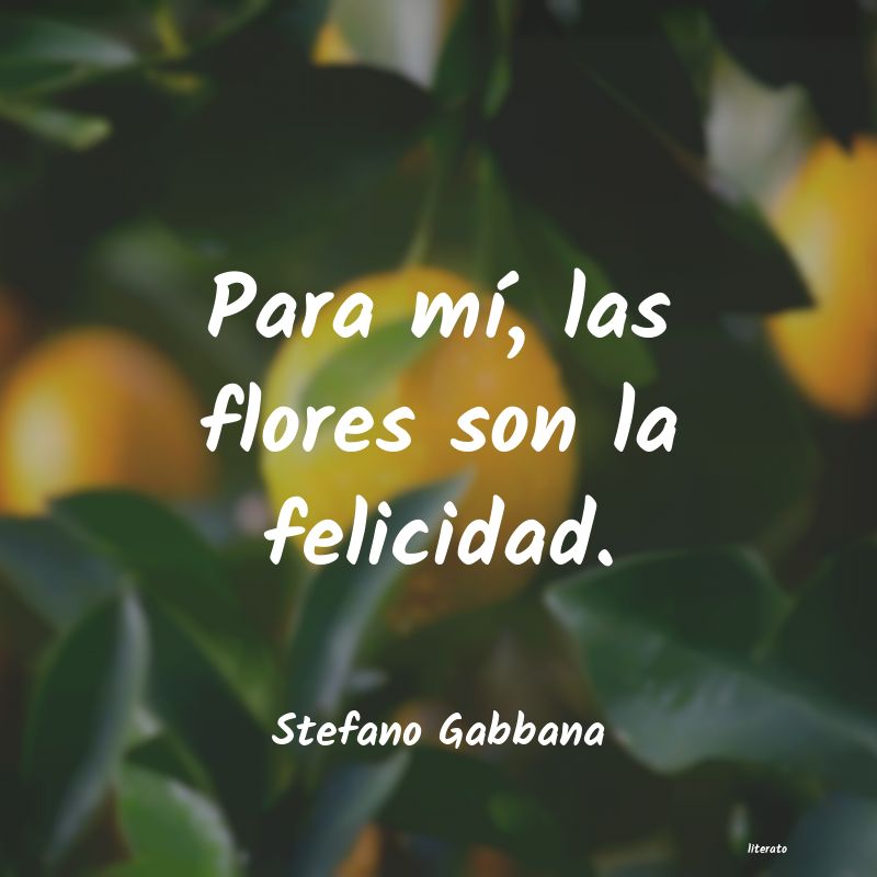 frases de Stefano Gabbana