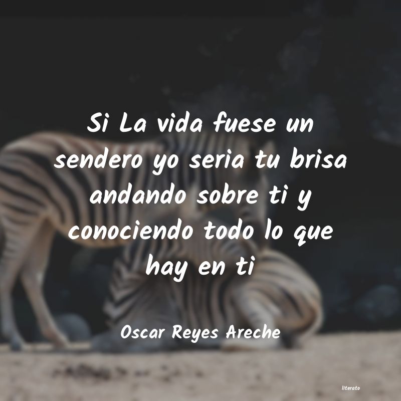 Frases de Oscar Reyes Areche