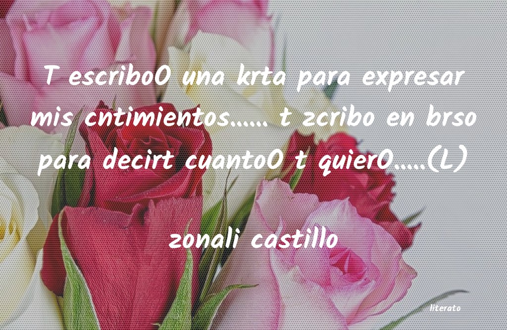 Frases de zonali castillo