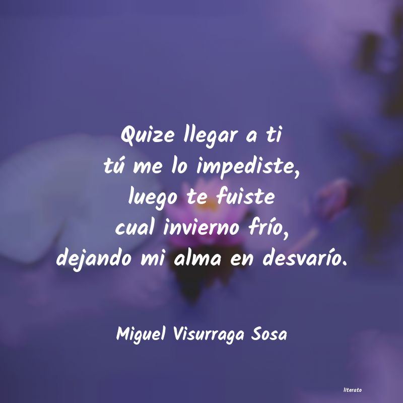 frases de Miguel Visurraga Sosa