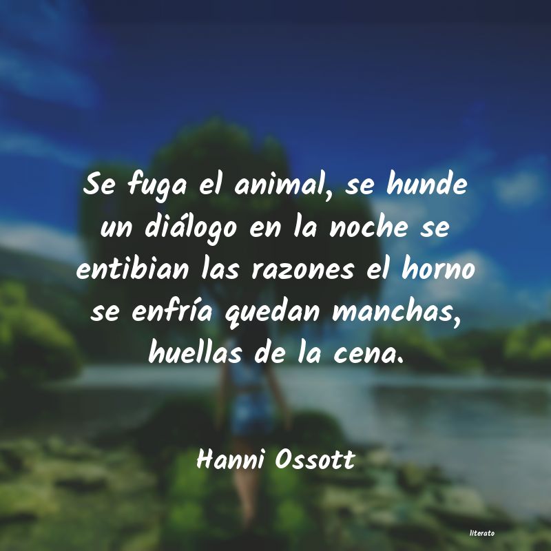 frases de Hanni Ossott