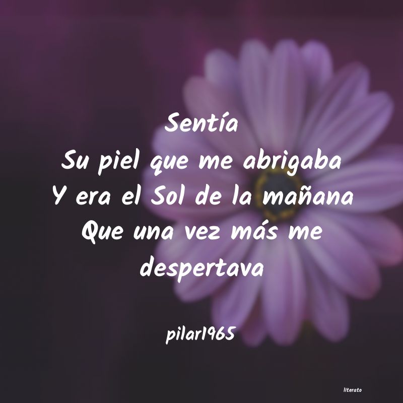 Frases de pilar1965